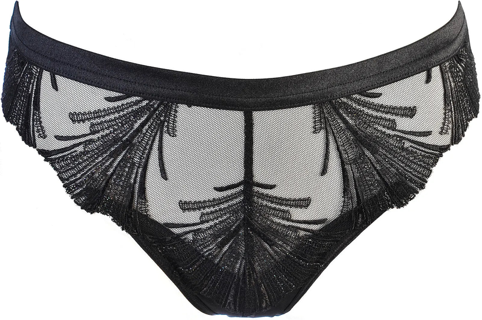Axami Timeless Shimmering Embroidery Sheer String Panty Black