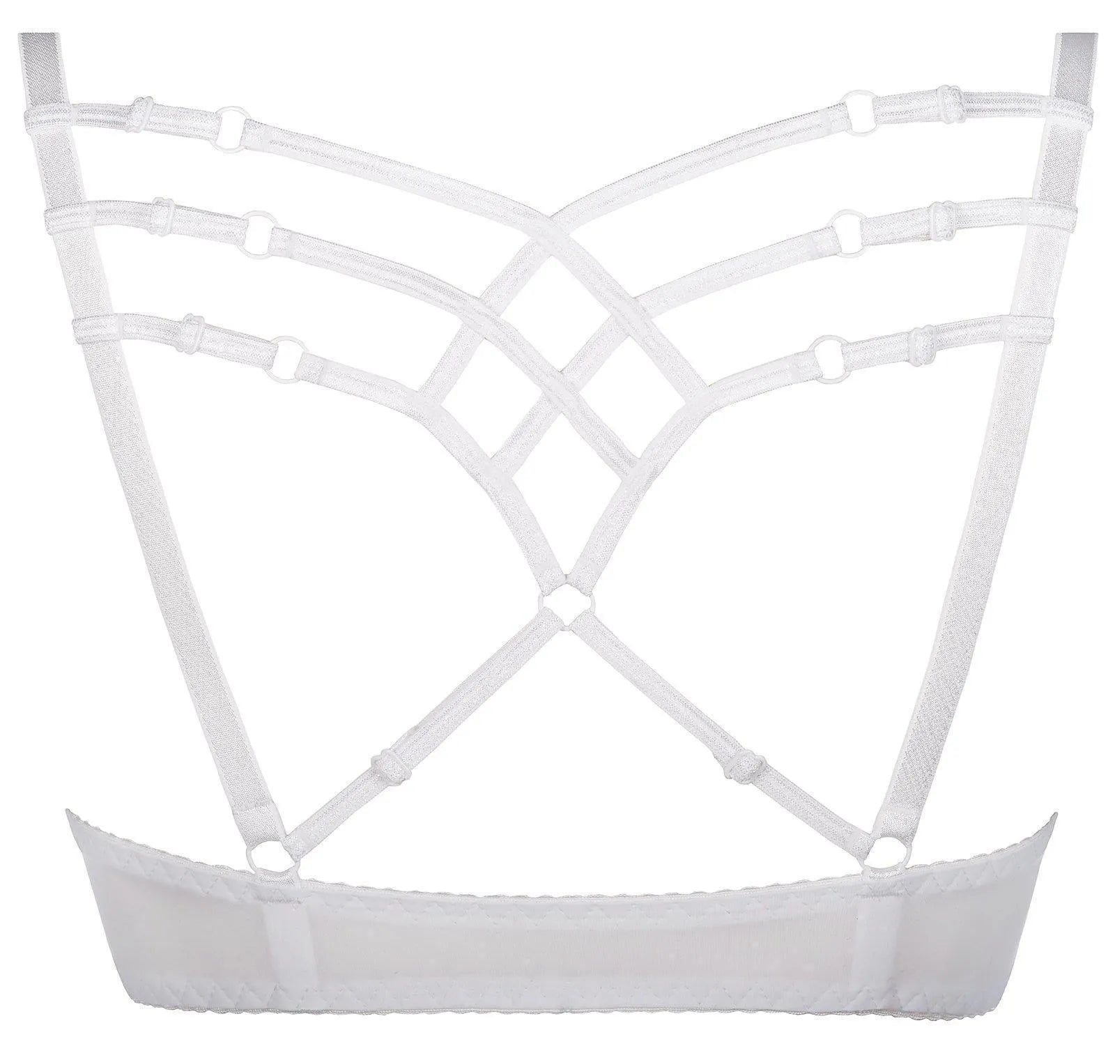 Axami Daisy Push-up Bra-Rebel Romance