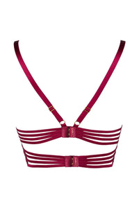 Axami Dark Raspberry Eyelash Lace Longline Bra