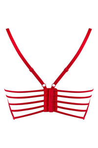 Axami Princess Flower Rose Longline Bra