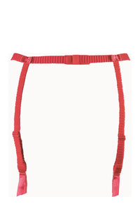Axami Watermelon Embroidery Garter Belt