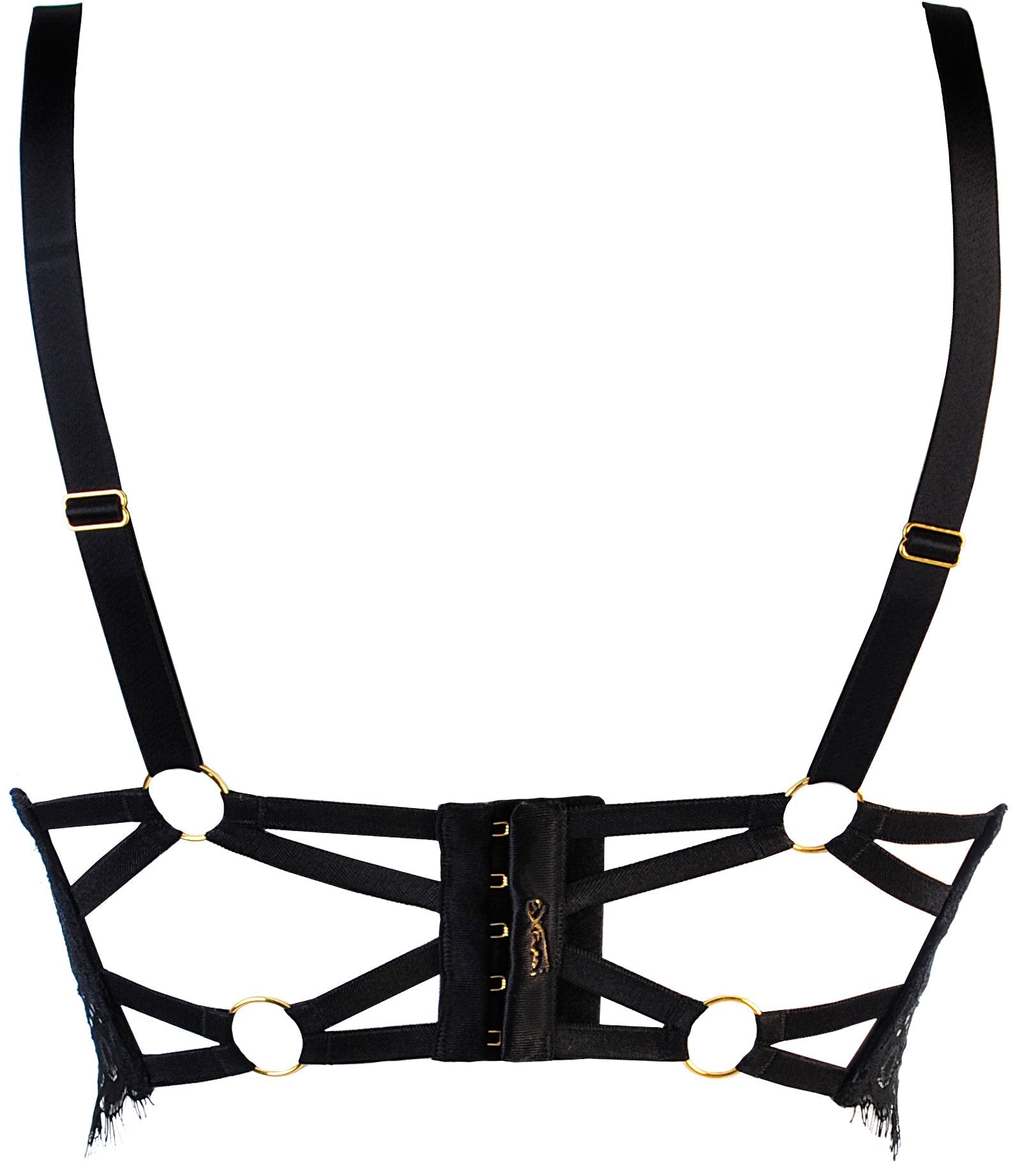 Axami 10771 Eyelash Lace Bustier Bra Just Like Heaven
