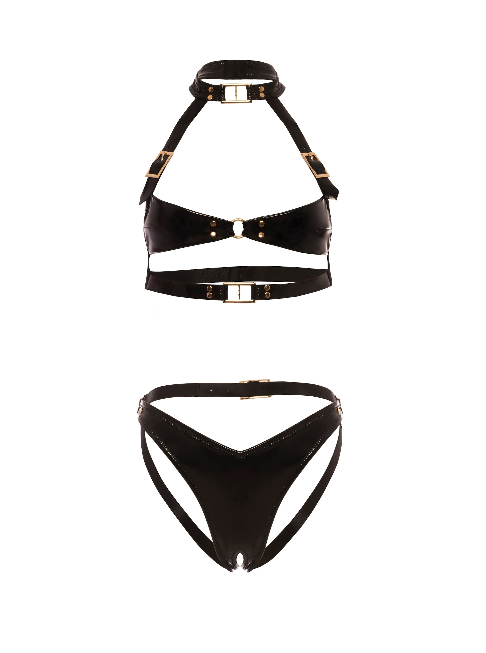 Feisty Buckle Bra Set