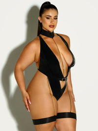 Harness Haven Teddy