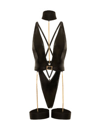 Harness Haven Teddy