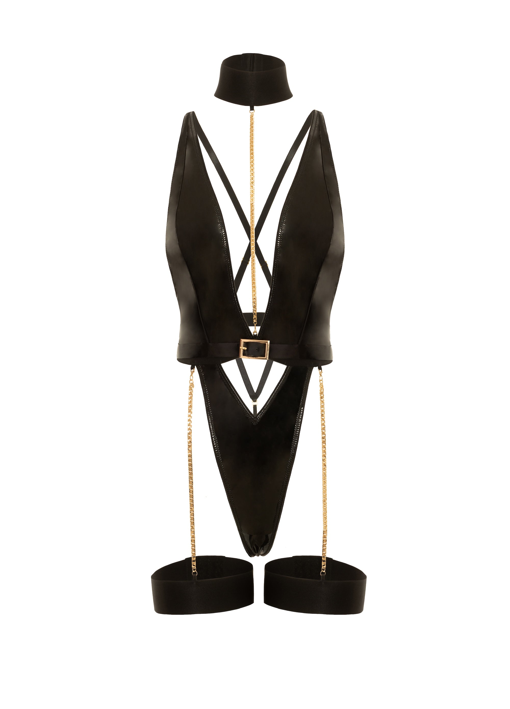 Harness Haven Teddy
