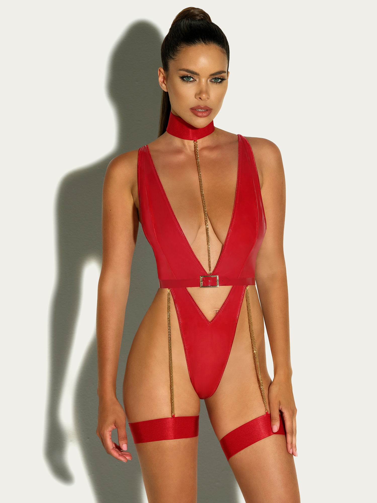 Harness Haven Teddy