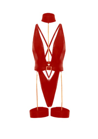 Harness Haven Teddy