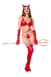 Smoking Hot Devil Lingerie Costume