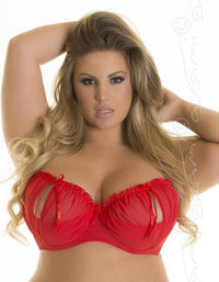 Axami Magenta Peek-a-boo Shelf Bra Size Plus