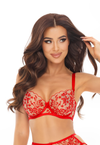 Axami Red Flowers Embroidery Sheer Bra