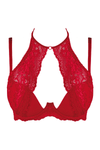 Axami 9531 Summer Love Red Push-up Bra