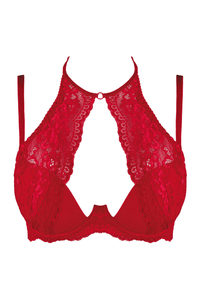 Axami 9531 Summer Love Red Push-up Bra