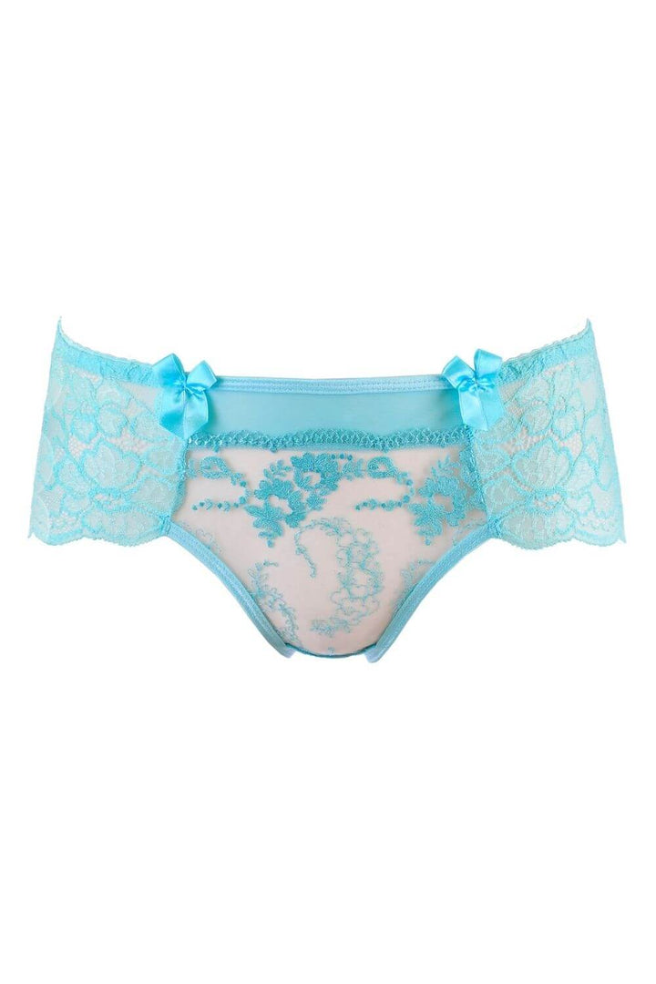 Axami 10133 Sheer Brief Panty Passion Wave