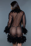 BeWicked Lux Robe Sheer Black Feather Trim