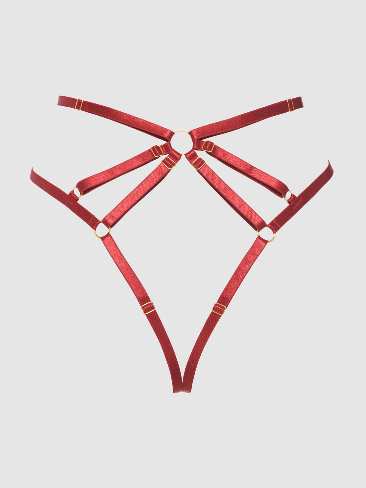 Rosalie Embroidered Lace Strappy Backless Tanga Panty Crimson Red Rose