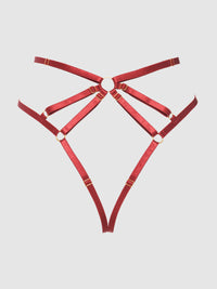 Rosalie Embroidered Lace Strappy Backless Tanga Panty Crimson Red Rose