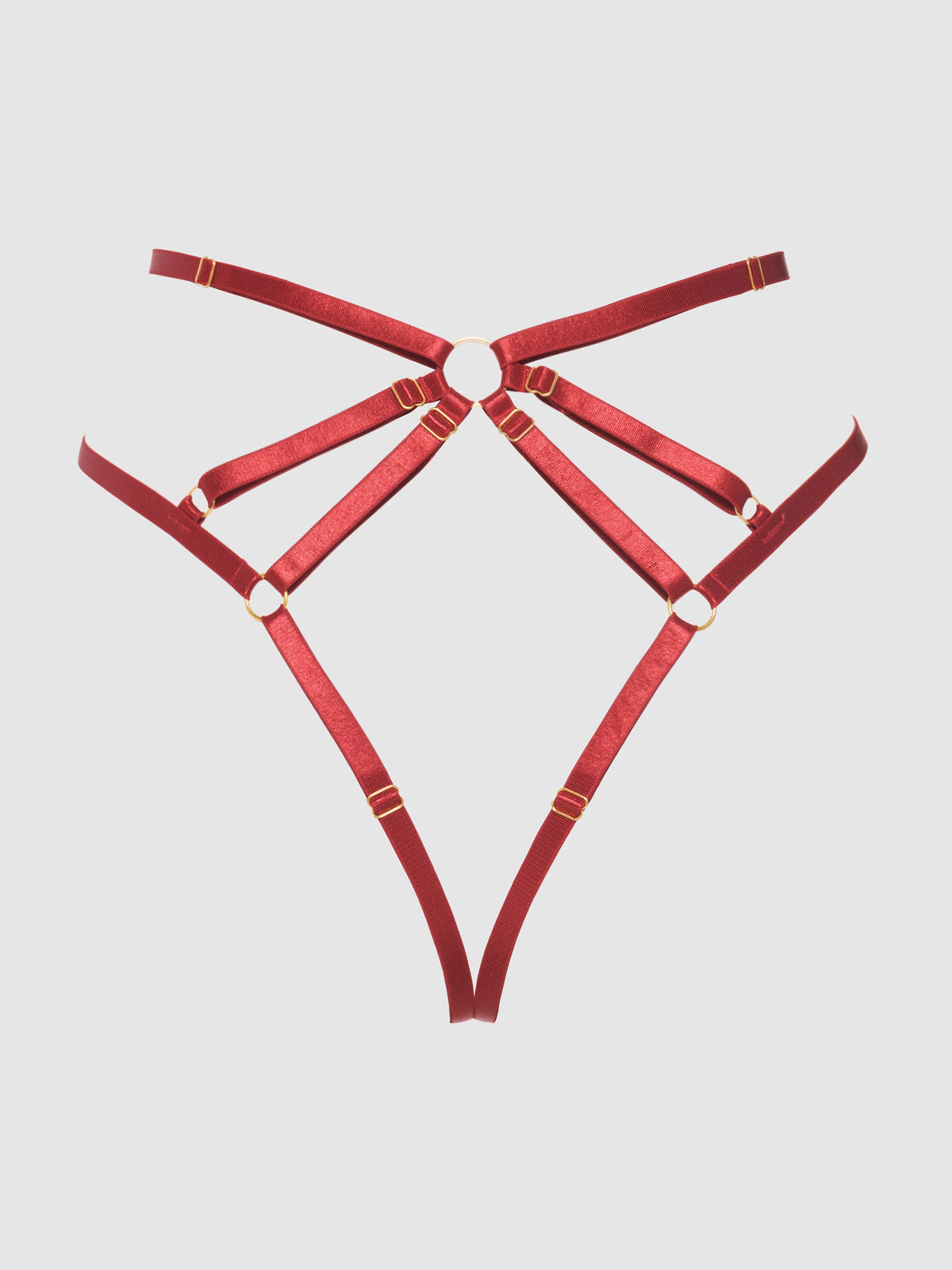 Rosalie Embroidered Lace Strappy Backless Tanga Panty Crimson Red Rose