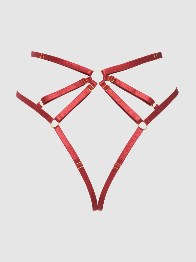 Rosalie Embroidered Lace Strappy Backless Tanga Panty Crimson Red Rose
