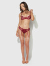 Eden Embroidered Lace Bra and Backless Hipster Set Rhubarb