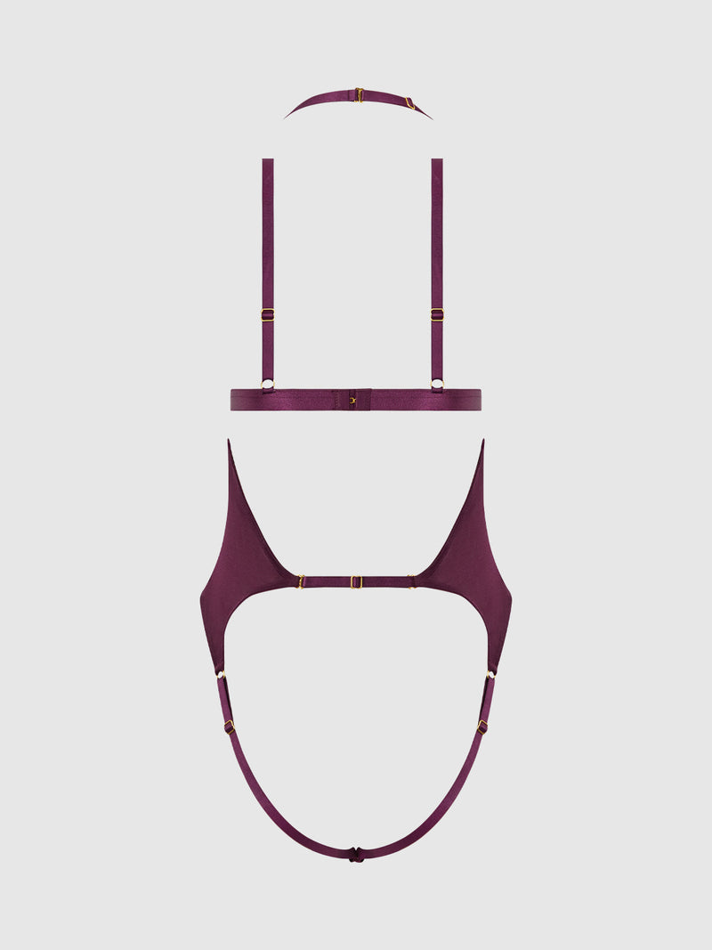 Yasmine Shine Mesh Open Cup Backless Teddy & Bra Set Plum