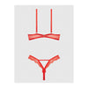 Queen Nadia Lace & Mesh Cutout Teddy Grenadine Orange