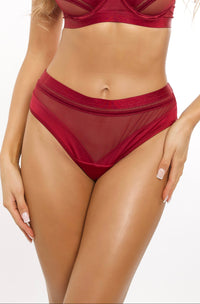 Axami Sheer Stripe Bikini Brief Deep Burgundy