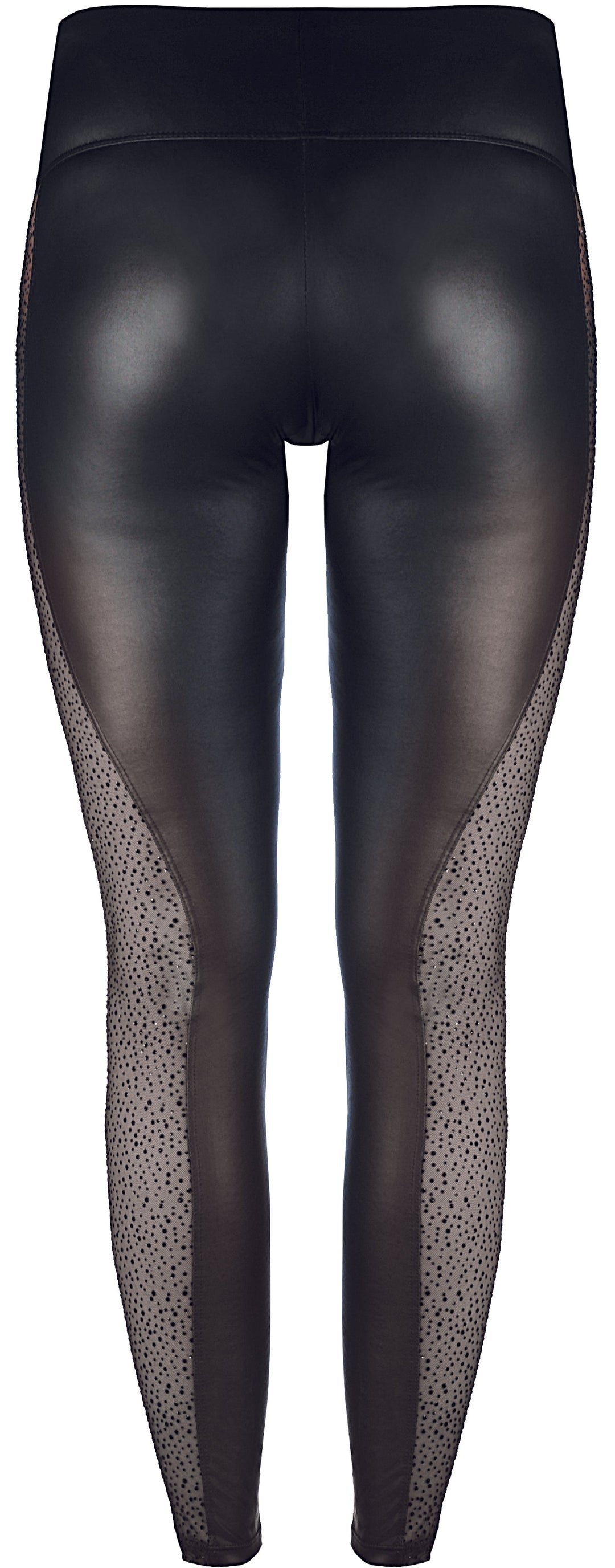 Axami 9226 Seductive Fancy Animal Sheer Sides Leggings Black