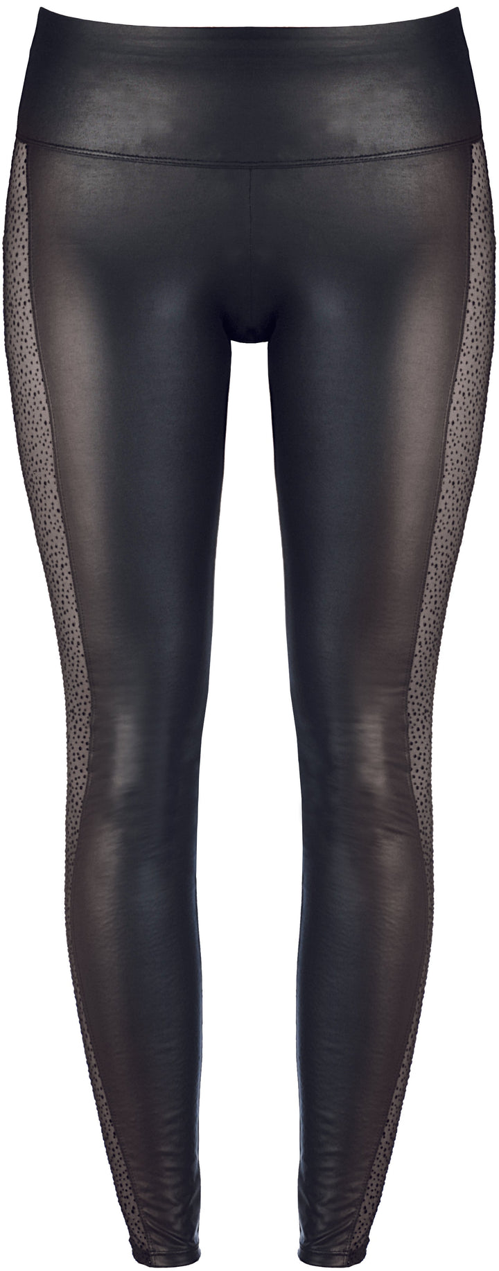 Axami 9226 Seductive Fancy Animal Sheer Sides Leggings Black