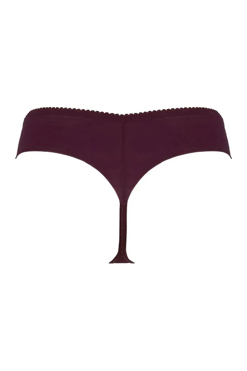 Axami Acai Berry sheer thong with delicate purple and gold lace trim, designed for exceptional comfort.