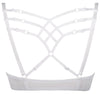 Axami Daisy Push-up Bra-Rebel Romance