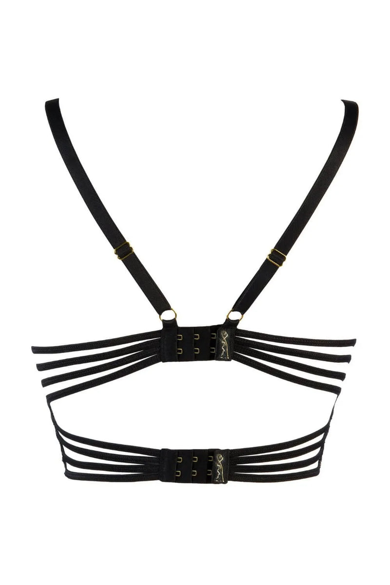 Axami Gooseberry Eyelash Lace Longline Bra