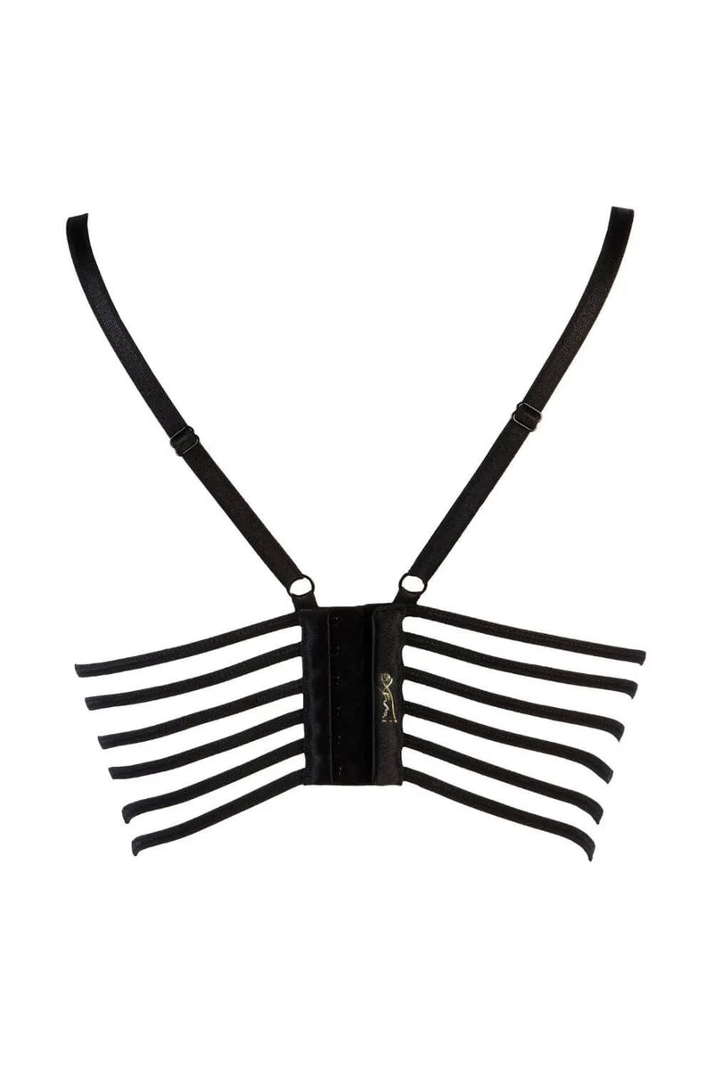 Axami Passion Fruit Eyelash Lace Longline Bra