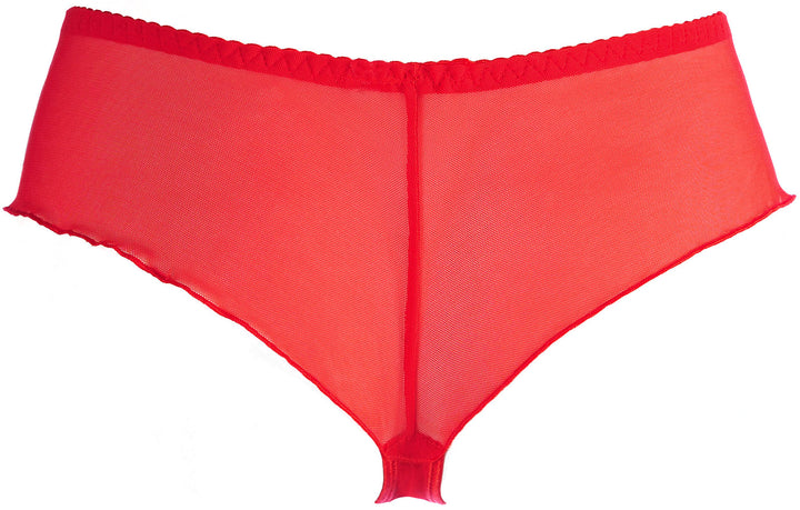 Axami Sheer Embroidery Brazilian Thong Red Angel