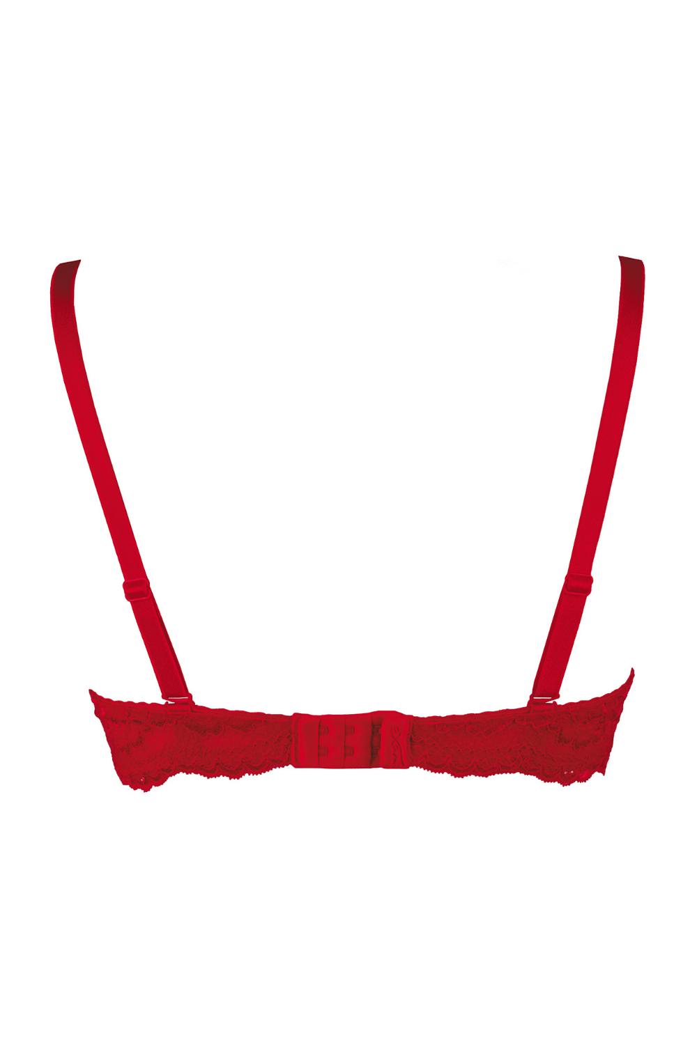 Axami Strawberry High Neck Lace Push-up Bra - Limited Edition