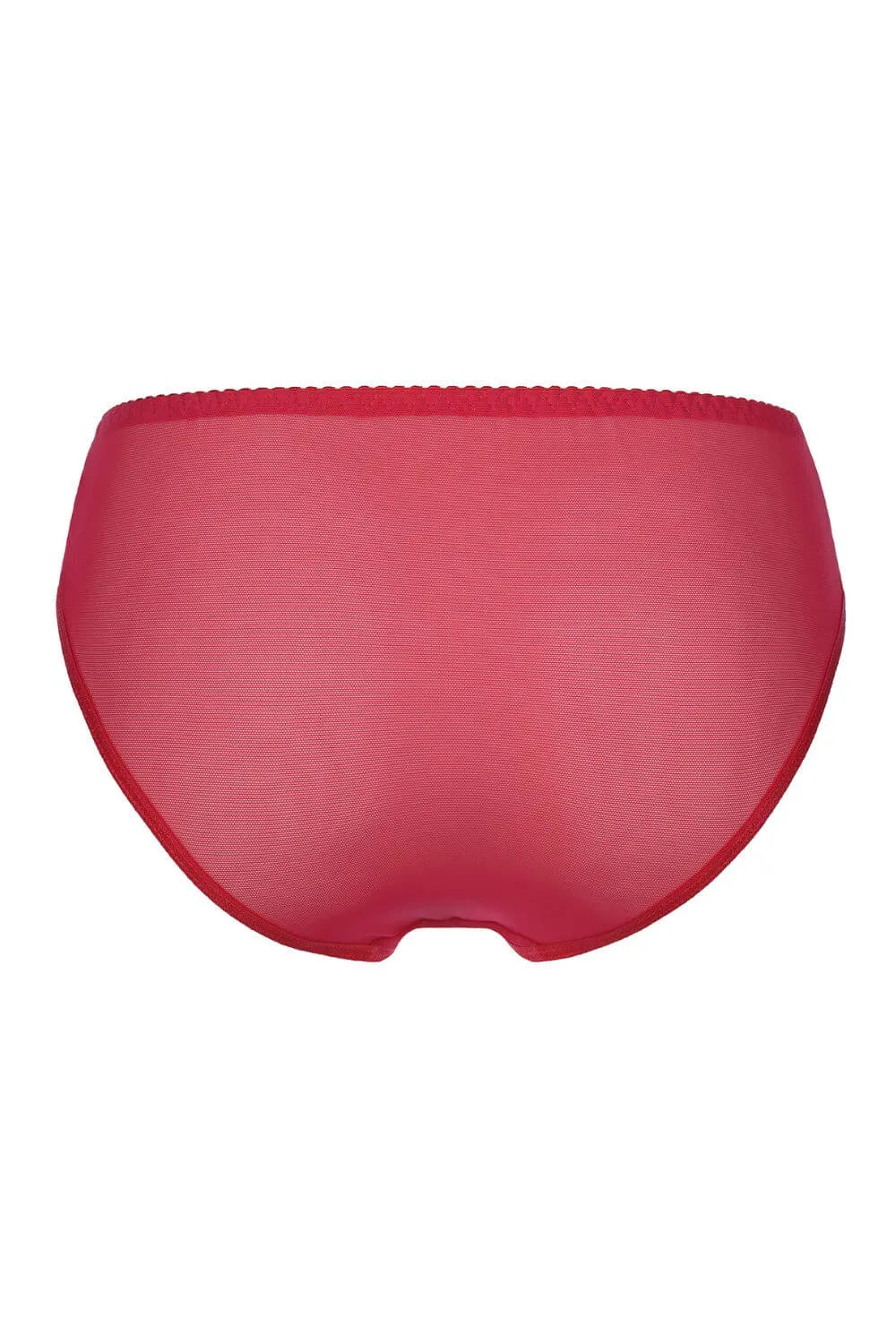 Axami Tiger Lily Bikini Briefs