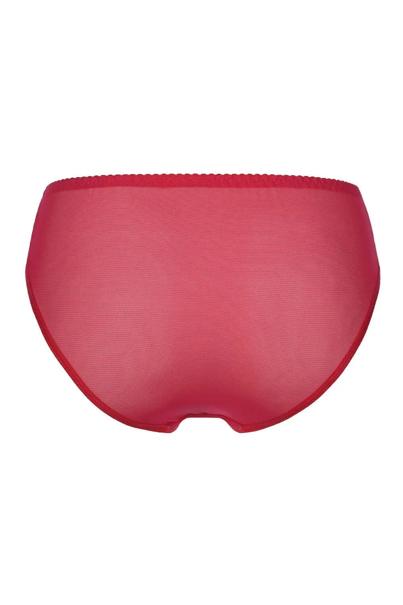 Axami Tiger Lily Bikini Briefs