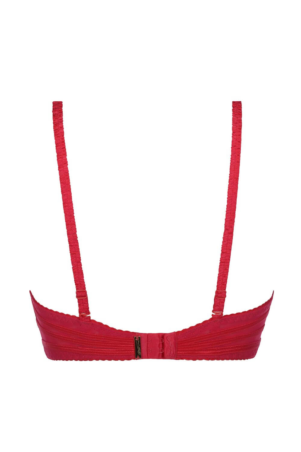 Axami Tiger Lily Sheer Mesh Unlined Bra