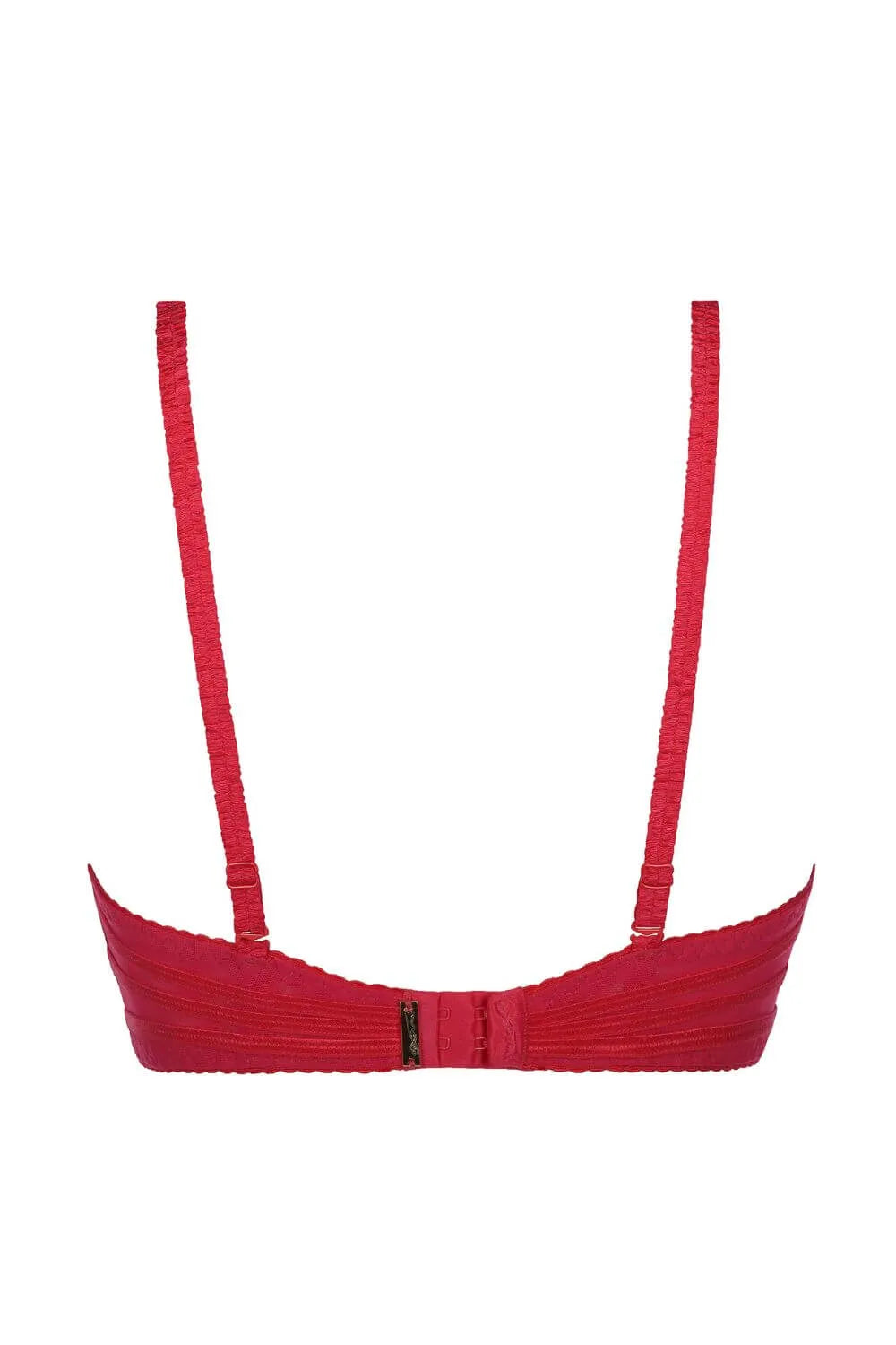 Axami Tiger Lily Sheer Mesh Unlined Bra