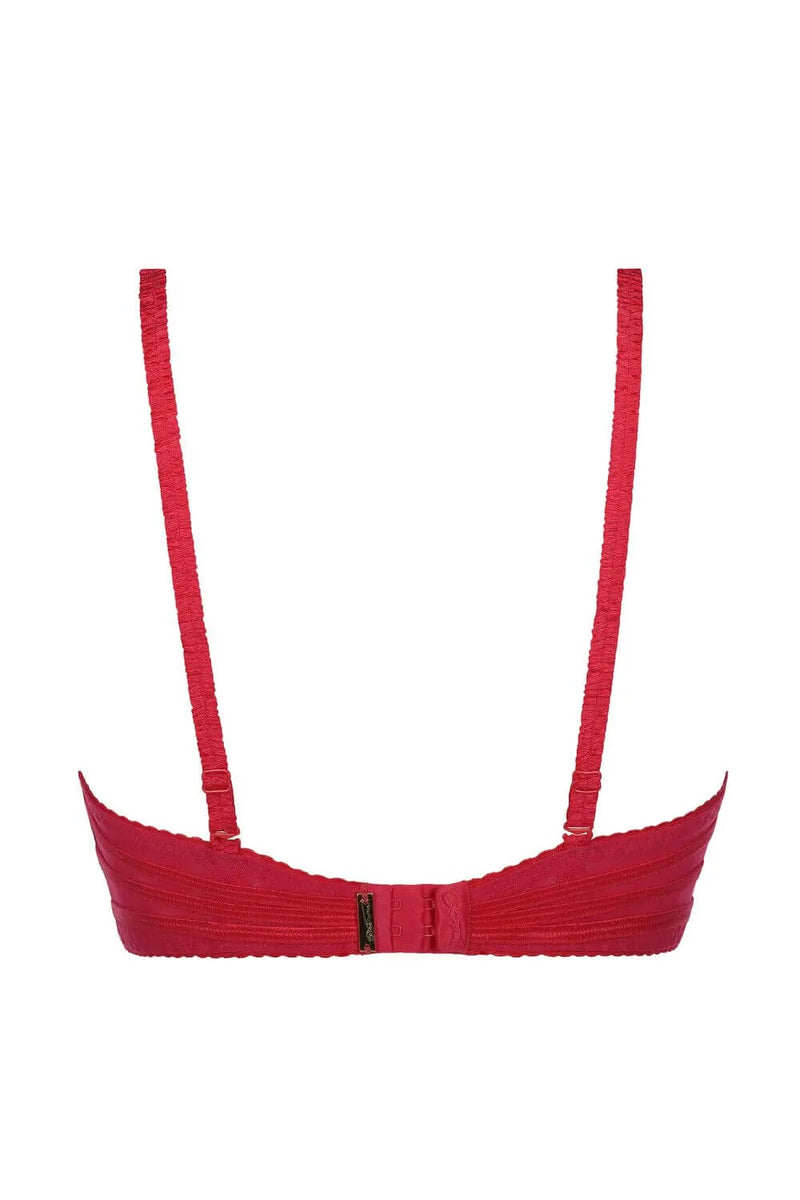 Axami Tiger Lily Sheer Mesh Unlined Bra