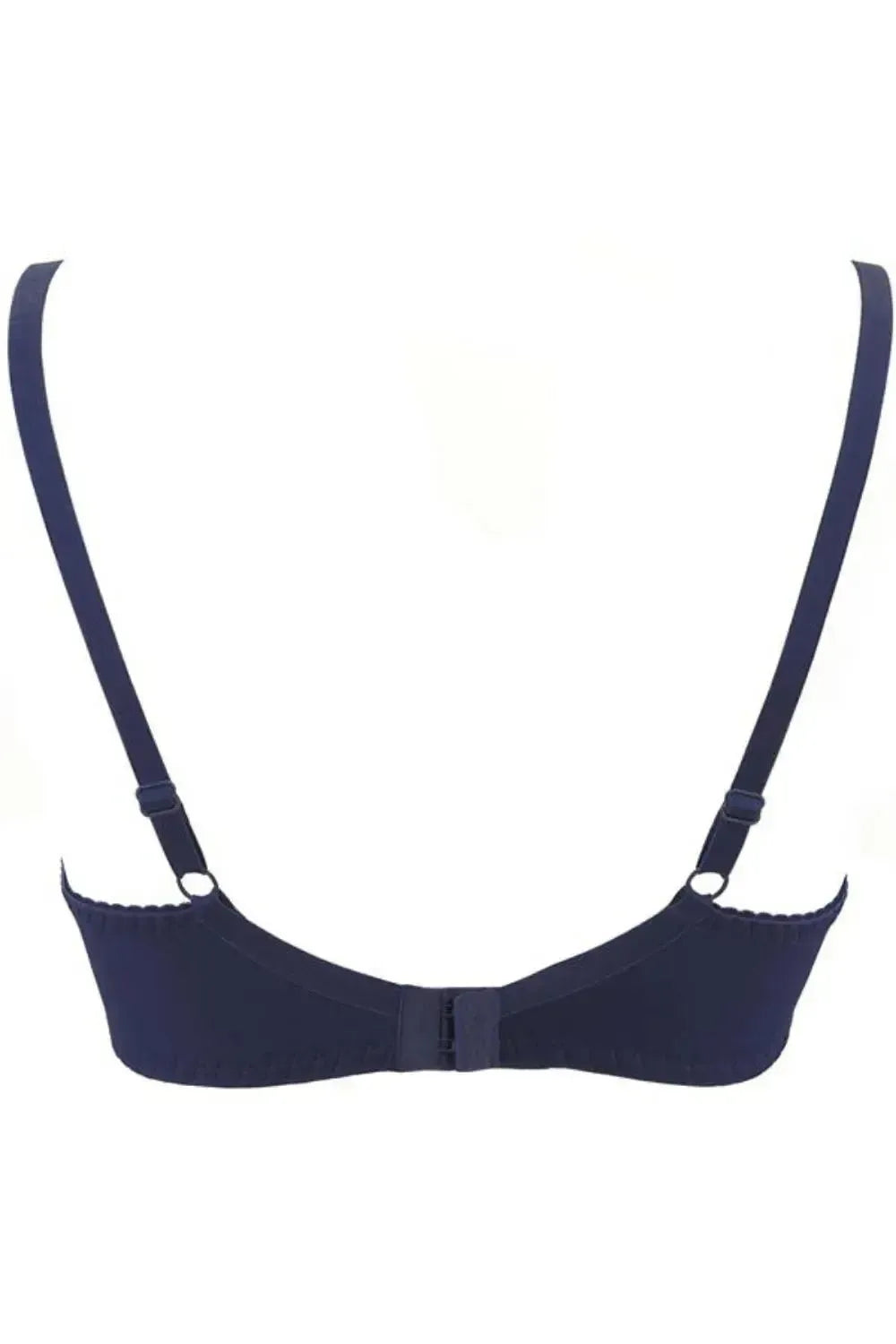 Axami Azure Lace Push-up Bra