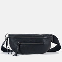 Hammitt Charles Small Leather Crossbody Bag Black/Gunmetal-Rebel Romance