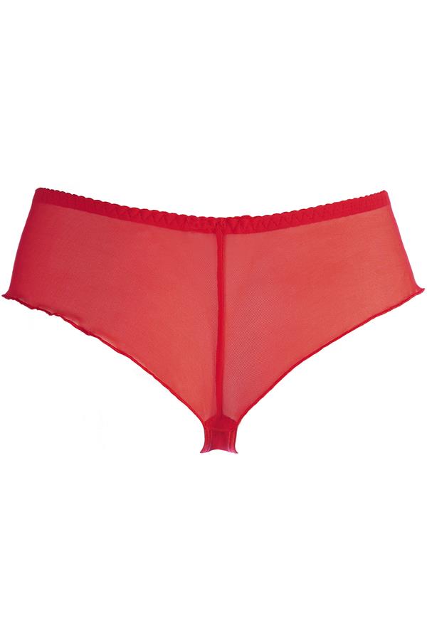 Axami V-10545 Sheer Embroidery Brazilian Thong Red Just Like Heaven