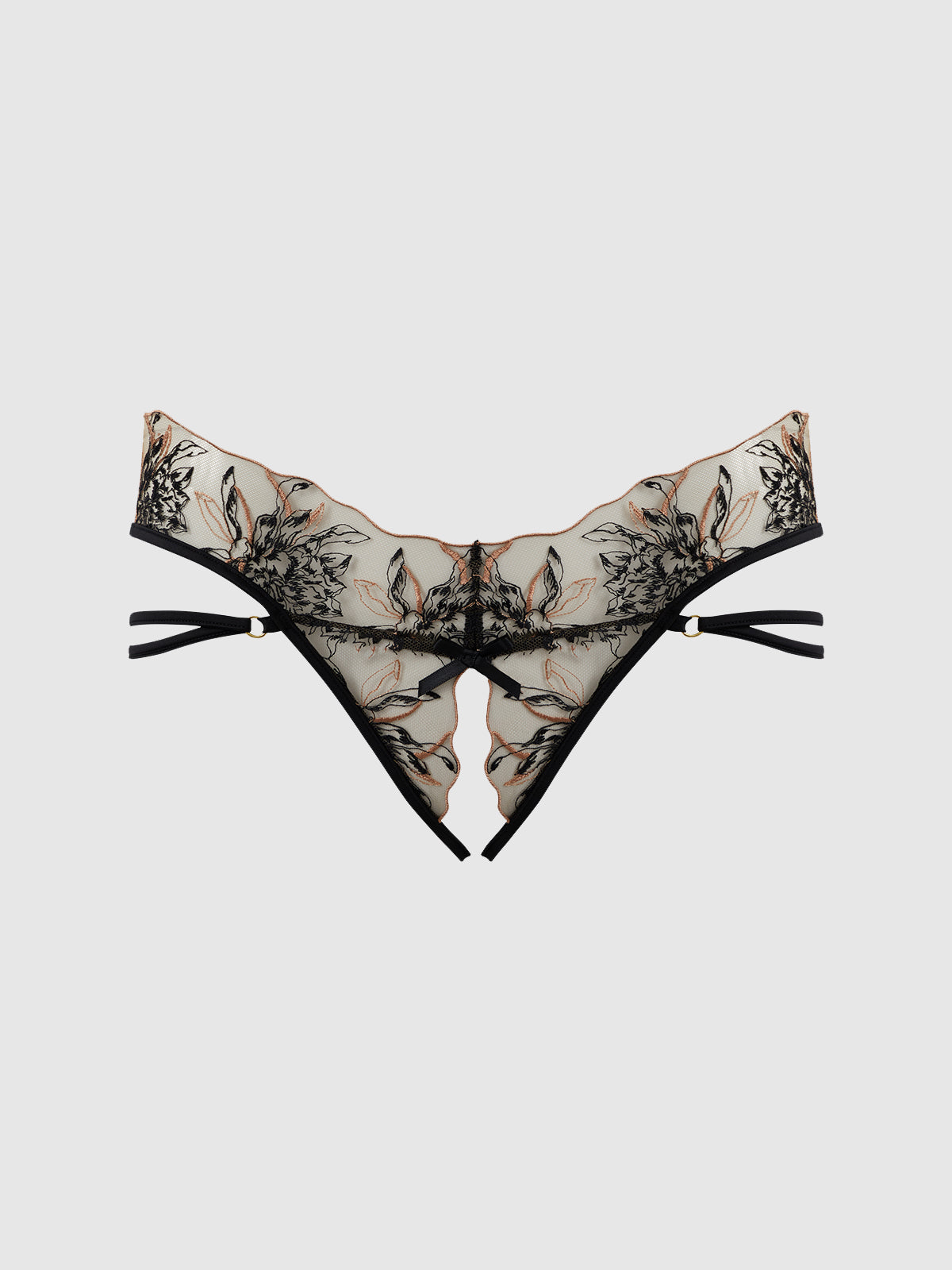 House of Desire Delilah Embroidered Sheer Hipster Ouvert Panty Black/Taupe