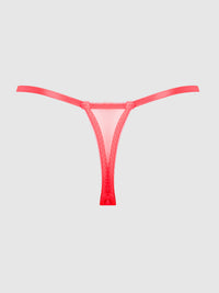 House of Desire Eden Embroidered Lace Crotchless Thong