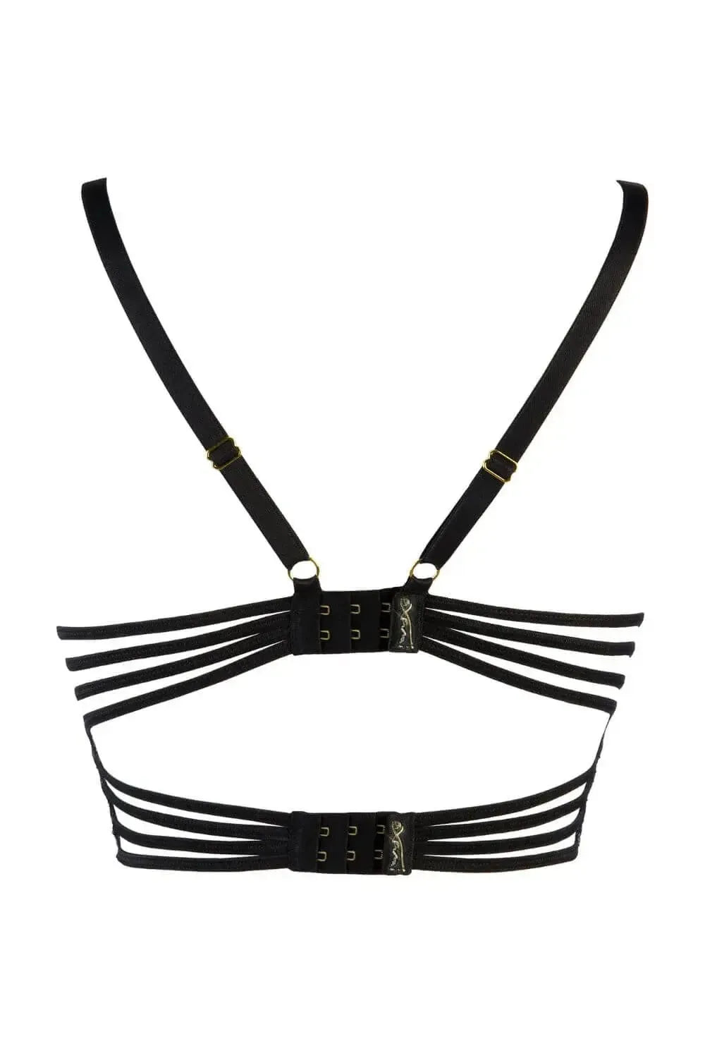 Black Gooseberry eyelash lace longline bra with butterfly winged band and gold hardware.