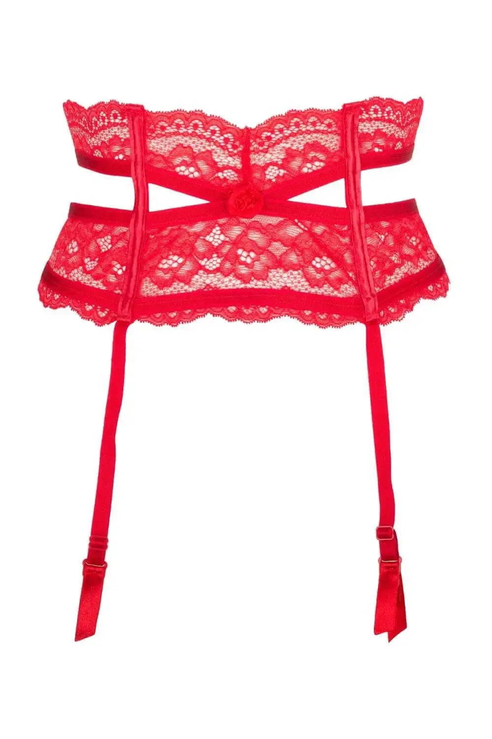 Axami Intense High Waisted Garter Belt 6722 Rebel Romance Axami Intense High Waisted Garter Belt 6722 Rebel Romance