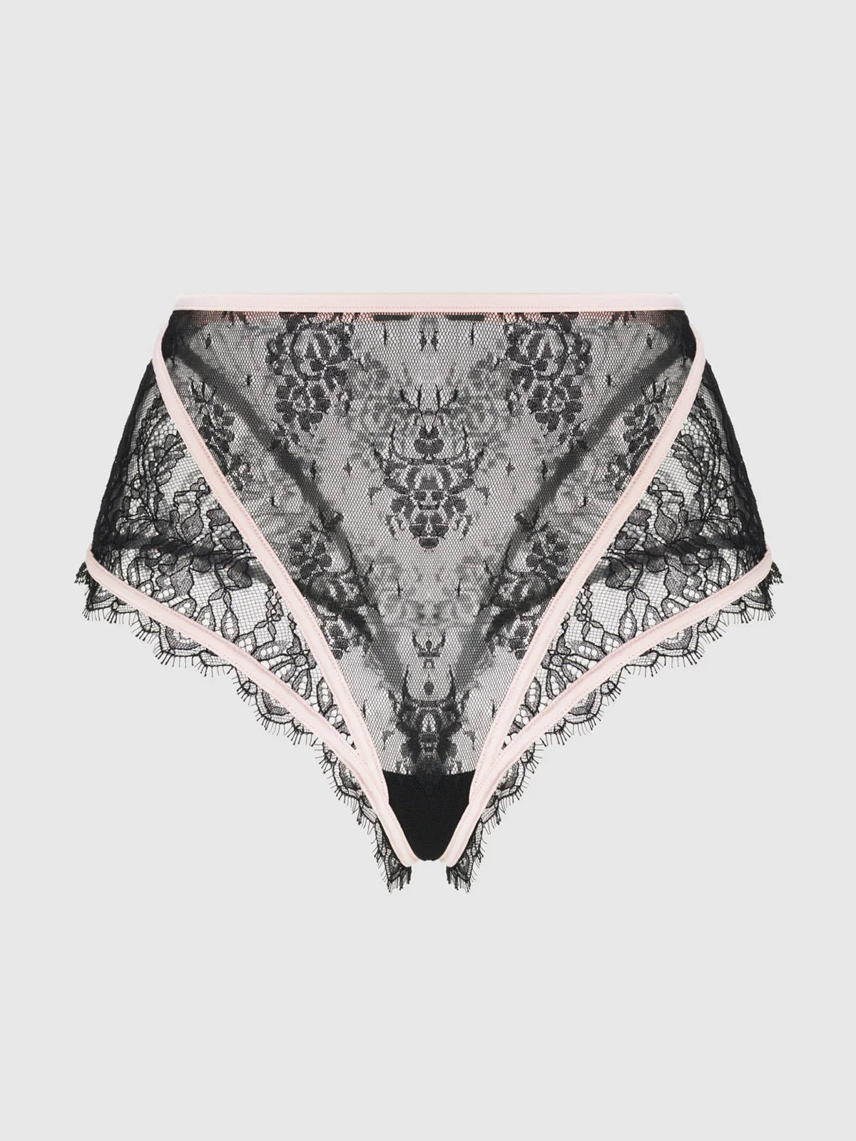 House of Desire Jocelyn Eyelash Lace & Satin High Waist Cheeky