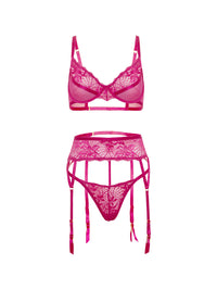 Oh la la Cheri Julia Lace & Mesh Gartered Bra Set