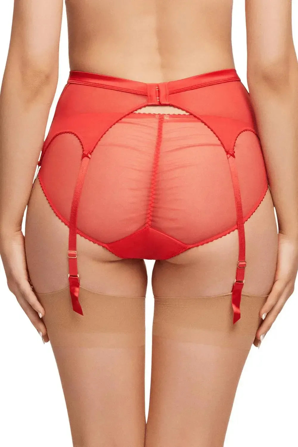 Dita Von Teese Julie's Roses sheer red suspender belt with satin waistband and adjustable garter straps.